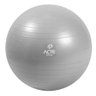 15589 bola para treinamento funcional gym ball acte 55 cm prata